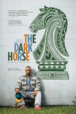 Ver Películas The Dark Horse (2014) Online