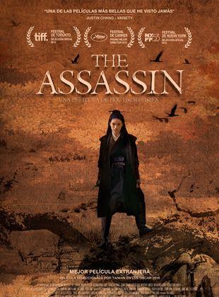 Ver Películas The Assassin (2015) Online