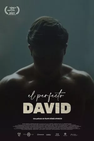 Ver Películas El perfecto David (2021) Online