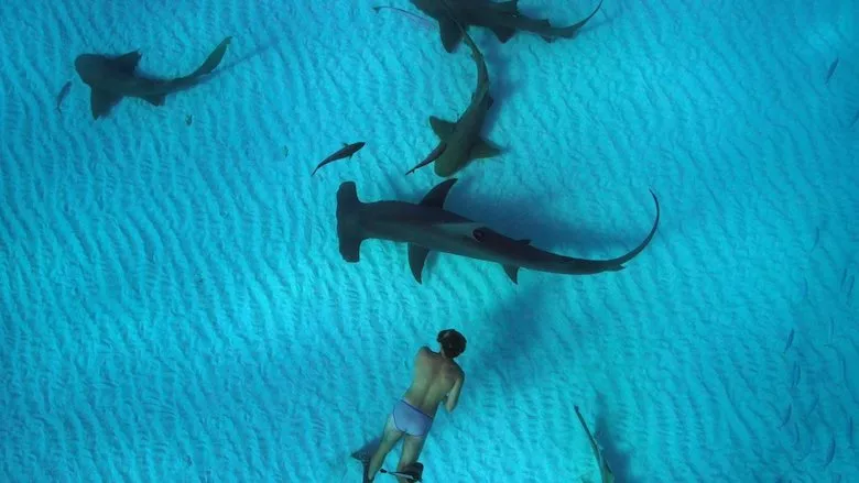 Ver Películas Sharkwater Extinction (2018) Online