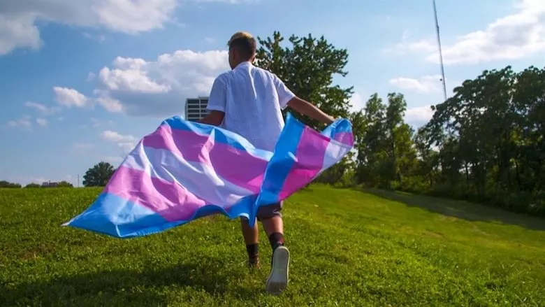 Ver Transhood: Crecer transgénero (2020) online