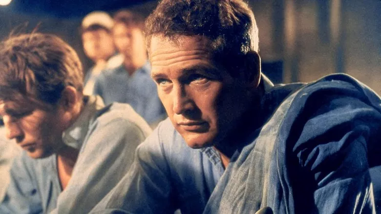 Ver La leyenda de Paul Newman (2023) online