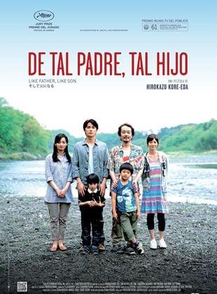 Ver Películas De tal padre, tal hijo (2013) Online