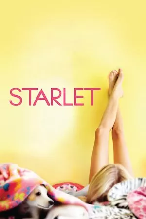 Ver Películas Starlet (2012) Online
